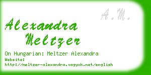 alexandra meltzer business card